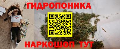 mdma Канаш